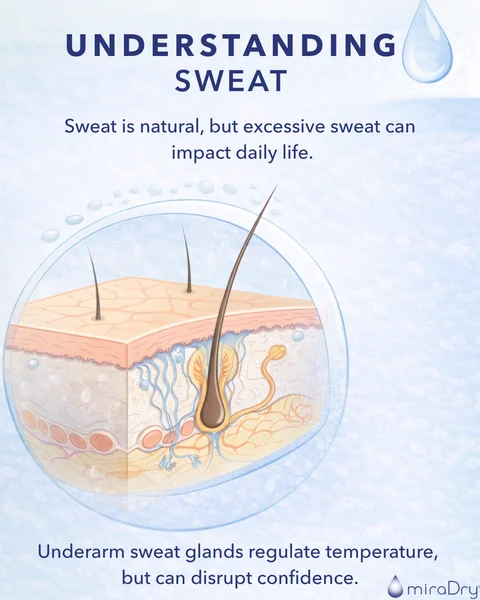 Understanding_Sweat_EN_preview