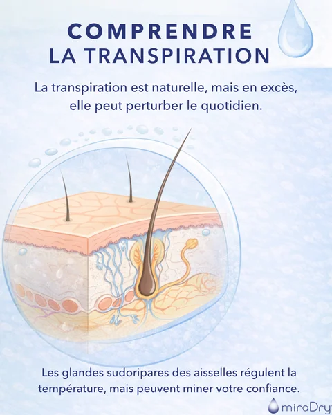Understanding_Sweat_FR_preview