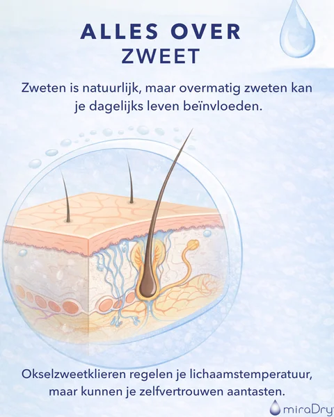 Understanding_Sweat_NL_preview